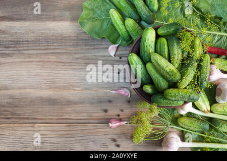 Hintergrund mit Gurken aus dem Garten Gemüse für Ernährung. Zutaten für Bewahrung, essiggurken oder anderen Zweck. Gemüse, Stockfoto