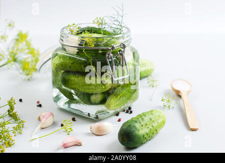 Jar von organischen Pickles und andere Zutaten für die Beize auf dem hellen Hintergrund. Selektive konzentrieren. Horizontal mit kopieren. Stockfoto