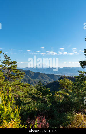 Mount Fuji, das Weltkulturerbe. Schöne Landschaft, Kiefernwälder im Vordergrund, blauer Himmel und weiße Wolken im Hintergrund. Shosenkyo Beobachtung Stockfoto