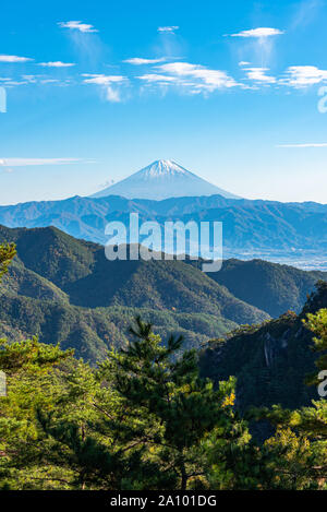 Mount Fuji, das Weltkulturerbe. Schöne Landschaft, Kiefernwälder im Vordergrund, blauer Himmel und weiße Wolken im Hintergrund. Shosenkyo Beobachtung Stockfoto