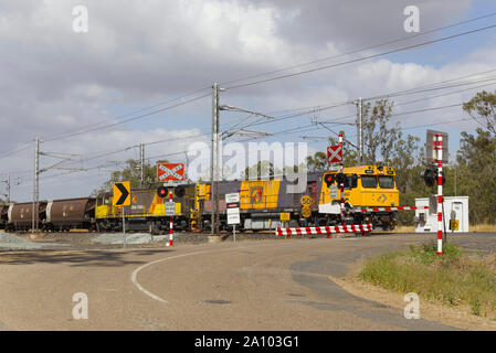 Kohle Züge bei einer kontrollierten Bahnübergang in der Nähe von Mount Larcom Queensland Australien Stockfoto
