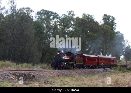 Historische Mary Valley Rattler Dampflok Stockfoto