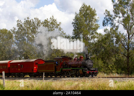 Historische Mary Valley Rattler Dampflok Stockfoto