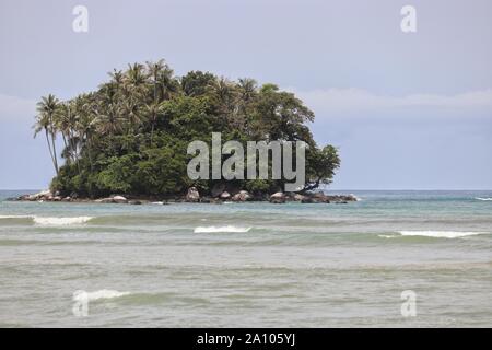 Tropische Insel mit Palmen in einem Ozean, malerischen Blick vom azurblauen Wasser mit Wellen. Bunte Seascape Stockfoto
