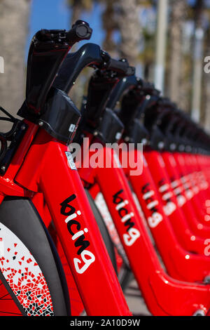 Barcelona, Spanien - 26. Februar 2019 - Rote Fahrräder, die zu den öffentlichen Verkehrsmitteln sharing service Bicing Linie der Promenade in der Barcelonet Stockfoto