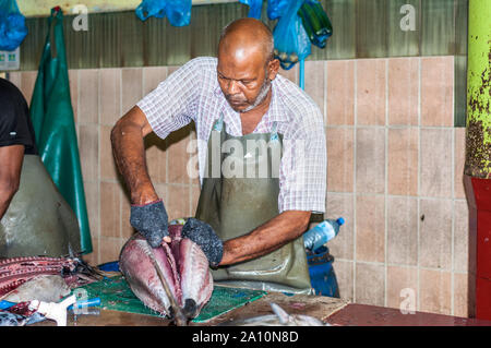 Male, Malediven - November 16, 2017: der Mann, der die großen Thunfischen für den Verkauf auf dem Fischmarkt in der Stadt von Male, die Hauptstadt der Malediven. Stockfoto