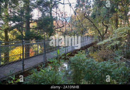 Ein Seil suspension Brücke, die über einen kleinen Teich durch die Kronen der Bäume zu Hakone Open Air Museum zu gehen. Hakone. Kanagawa. Japan Stockfoto