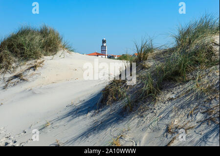 Dünen an der Costa Nova Strand, Aveiro, Venedig von Portugal, Beira Litoral, Portugal Stockfoto