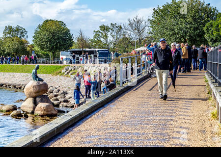 Die Statue der kleinen Meerjungfrau auf der Küstenlinie, Kopenhagen, Dänemark. Stockfoto