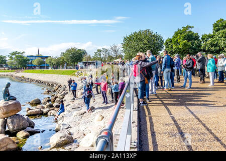 Die Statue der kleinen Meerjungfrau auf der Küstenlinie, Kopenhagen, Dänemark. Stockfoto