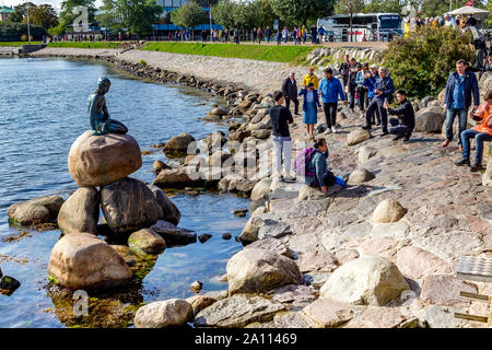 Die Statue der kleinen Meerjungfrau auf der Küstenlinie, Kopenhagen, Dänemark. Stockfoto