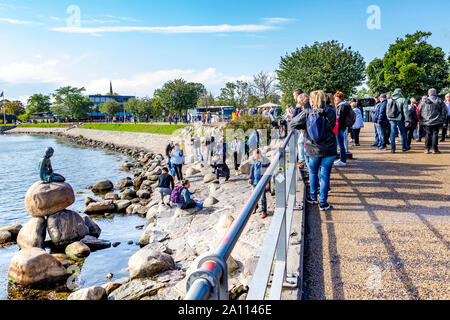 Die Statue der kleinen Meerjungfrau auf der Küstenlinie, Kopenhagen, Dänemark. Stockfoto