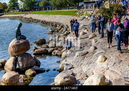 Die Statue der kleinen Meerjungfrau auf der Küstenlinie, Kopenhagen, Dänemark. Stockfoto