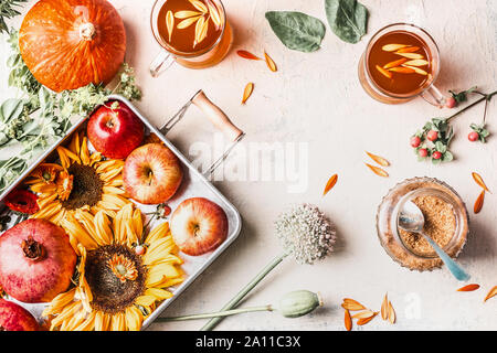 Herbst oder Ende Sommer Zusammensetzung mit Sonnenblumen, Kürbis, Äpfel, Blumen und Kräuter Tee im Glas Tassen auf weißen Desktop. Ansicht von oben. Kopieren Sie Platz. Rahmen Stockfoto