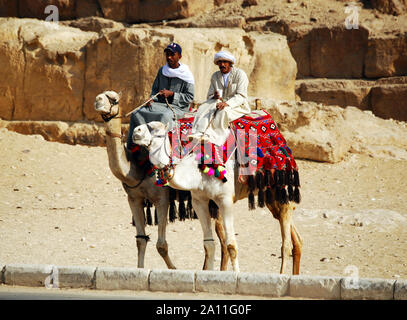 Kairo/Gizeh, Ägypten - Mai 7, 2008 - Camel Rider in der Wüste der Sahara. Beduinen und Kamelen in der Nähe der Pyramiden. Stockfoto