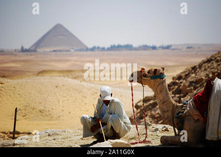 Kairo/Gizeh, Ägypten - Mai 7, 2008 - Camel Rider in der Wüste der Sahara. Beduinen und Kamelen in der Nähe der Pyramiden. Stockfoto