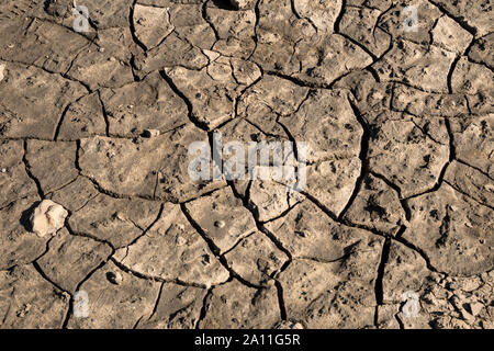 Trocken und rissig Schlamm auf einer trockenen Behälter, Stockfoto