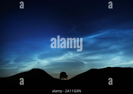 Undatiertes Bild der Baum bei Sycamore Gap, bei der Hadrianswall in der Nähe von Crag Lough, Northumberland, genommen, Nachtleuchtende Wolken (ice-Wolken, oder die Nacht Wolken). Stockfoto