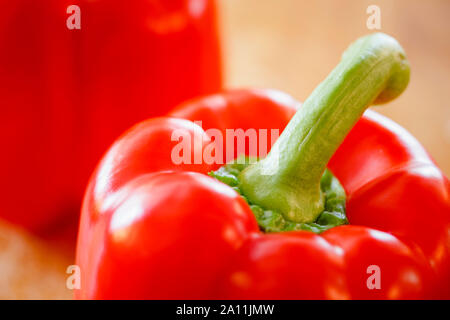 Rote Paprika - in der Nähe Stockfoto