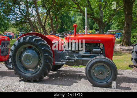 Makellos 1963 Rot Grau Massey Ferguson 35 X Modell Traktor Isle of Bute Schottland United Kingdom Treiber der rechten Seite abseits Anzeigen alten glänzenden Rot Stockfoto