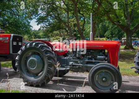 Makellos 60er Rot Grau Massey Ferguson 35 Modell Traktor Isle of Bute Schottland United Kingdom Treiber der rechten Seite abseits Anzeigen alten glänzenden re Stockfoto