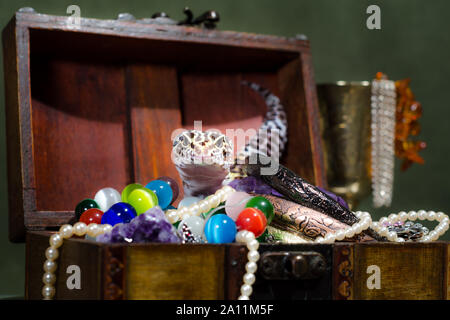 Helle gefleckte eublefar sitzt auf einem Haufen Schmuck in einem dekorativen Brust Stockfoto