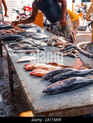 Einzelhandel mit Fisch auf dem schmutzigen Zähler auf dem Fischmarkt, um Leute, die schauen, und wählen Sie die Fische. Stockfoto