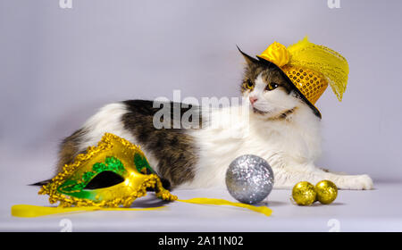 Böse Katze in einem gelben Karneval hut mit pailletten bogen und eine Feder neben einer Maske und Weihnachtskugeln Stockfoto