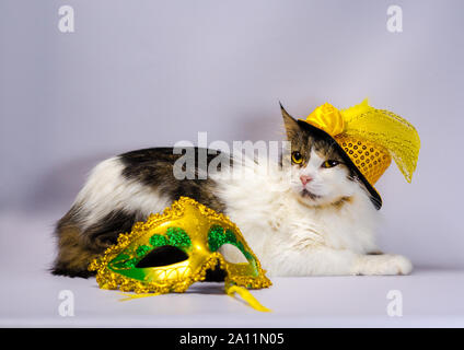 Böse Katze in einem gelben Karneval hut mit pailletten bogen und eine Feder neben einer Maske und Weihnachtskugeln Stockfoto