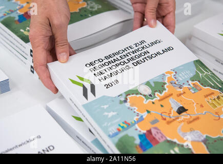 23. September 2019, Niedersachsen, Seevetal: Illustration - OECD-Berichte über die Entwicklung der Metropolregion Hamburg aufgestaut. In seinen Berichten, die OECD gibt mehr als 50 konkrete Empfehlungen für Maßnahmen in den sechs vorrangigen Bereichen der Innovation, Bildung und Facharbeiter, Digitalisierung, Wohnungsbau und Verkehr Planung, erneuerbare Energien sowie kulturelle und touristische Vermarktung. (Auf dpa' OECD gibt Empfehlungen für die Entwicklung der Metropolregion Hamburg") Foto: Daniel Bockwoldt/dpa Stockfoto