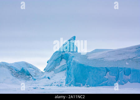 Eisberge gefroren / im Eis eingeschlossen. Snow Hill Island in der Antarktis Stockfoto