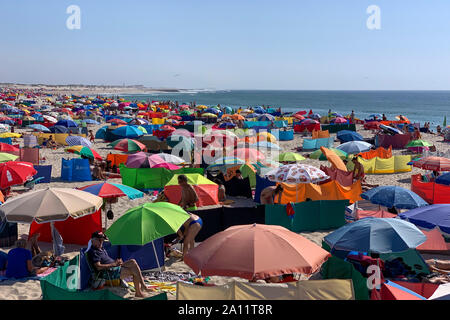 September, 2019 - Praia da Barra im Sommer. Stockfoto