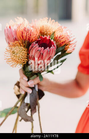 Eine sehr ungewöhnliche und beeindruckende Bukett von exotischen Blumen in den Händen eines Mädchens Stockfoto