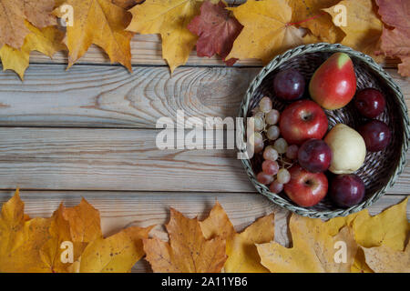 Verschiedene Früchte liegen in einem Weidenkorb. Herbst noch leben. Kopieren Sie Platz für Ihren Text. Die Ernte. Stockfoto