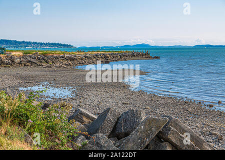 Rocky Shore auf Bellingham Bay Stockfoto