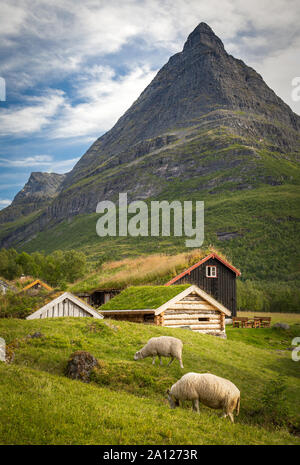 Traditionelle Berghütte Renndolsetra in das Tal Innerdalen Tal, Trollheimen Nationalpark, Norwegen. Stockfoto