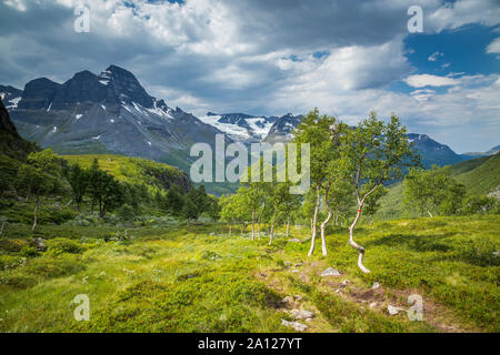 Blick von Renndalen Tal in Trollheimen Berge, norwegischen Nationalpark, Sommer. Stockfoto