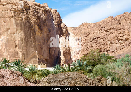 Wohnung Beduinen in einer Oase in der Wüste unter den Bergen in Ägypten Dahab Stockfoto