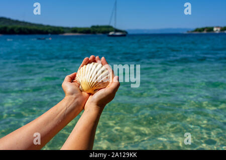 Holding Shell am Strand blue sea Hintergrund Ferienhäuser Stockfoto