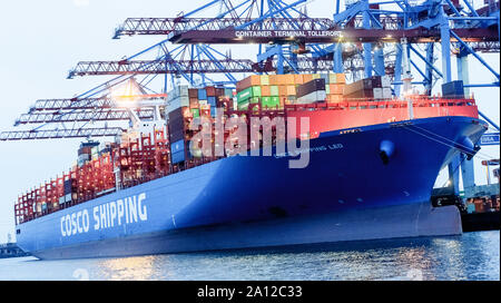 Hamburg, Deutschland. 28. Juli 2019. Die chinesische Containerfrachter COSCO Versand Löwe befindet sich an der Conatinerterminal Steinwerder der Hamburger Hafen und Logistik AG (HHLA). Die China Ocean Shipping Company (COSCO) ist ein staatliches Unternehmen in der Volksrepublik China. Quelle: Markus Scholz/dpa/Alamy leben Nachrichten Stockfoto