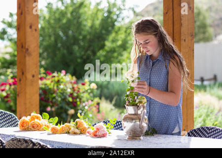 Der 13 Jahre alte Mädchen, die die Rosen aus dem Garten Stockfoto