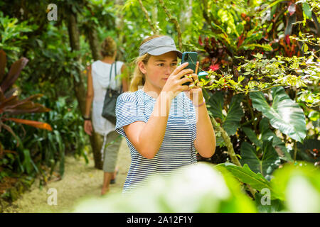 Der 13 Jahre alte Mädchen fotografieren mit einem Smart Phone auf Naturlehrpfad Stockfoto