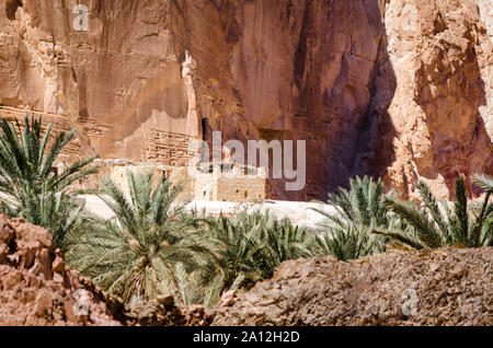 Wohnung Beduinen in einer Oase in der Wüste unter den Bergen in Ägypten Dahab Stockfoto