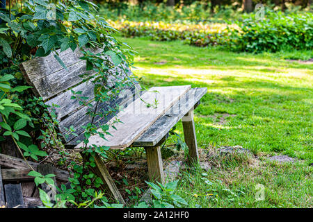 Gebrochene Holzbrett Sitzbank liegen auf einem Busch im Park, wunderbar sonniger Sommertag Natur in den Niederlanden Holland zu genießen Stockfoto