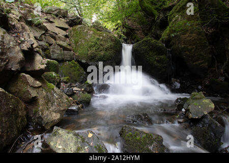 Tom Gill fällt unter Tarn Hows, in der Nähe von Coniston, Lake District, Cumbria, England Stockfoto