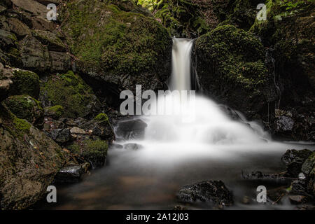 Tom Gill fällt unter Tarn Hows, in der Nähe von Coniston, Lake District, Cumbria, England Stockfoto