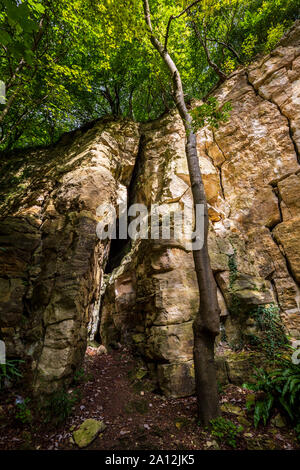 Eine stillgelegte Steinbruch entlang der Cotswold Way in Coaley Holz, Cotswolds, England Stockfoto