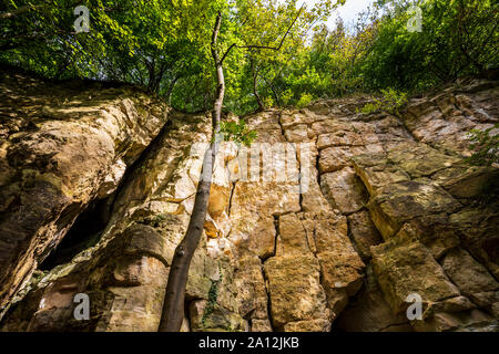 Eine stillgelegte Steinbruch entlang der Cotswold Way in Coaley Holz, Cotswolds, England Stockfoto