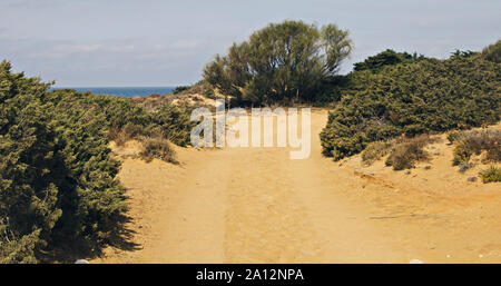 Zugang der Barrosa Strand, Chiclana de la Frontera, Cadiz, Spanien Stockfoto