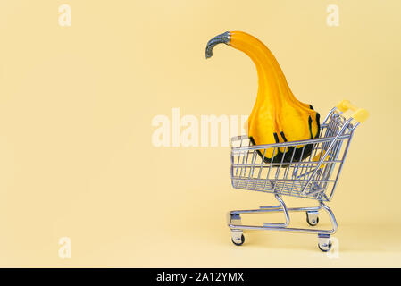 Eine kleine dekorative Kürbis von einer phantastischen Form in einem Spielzeug Warenkorb für einen Supermarkt. Stockfoto